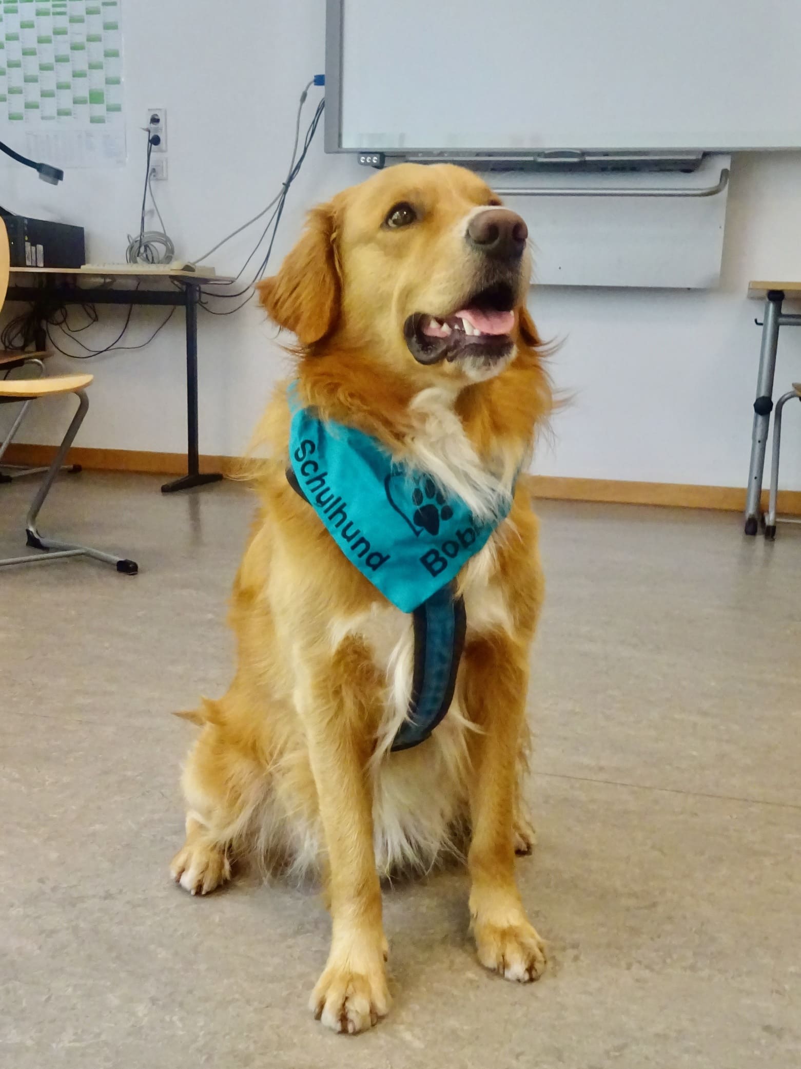 Das Highlight für viele ist der Besuch des Hundes Bobby